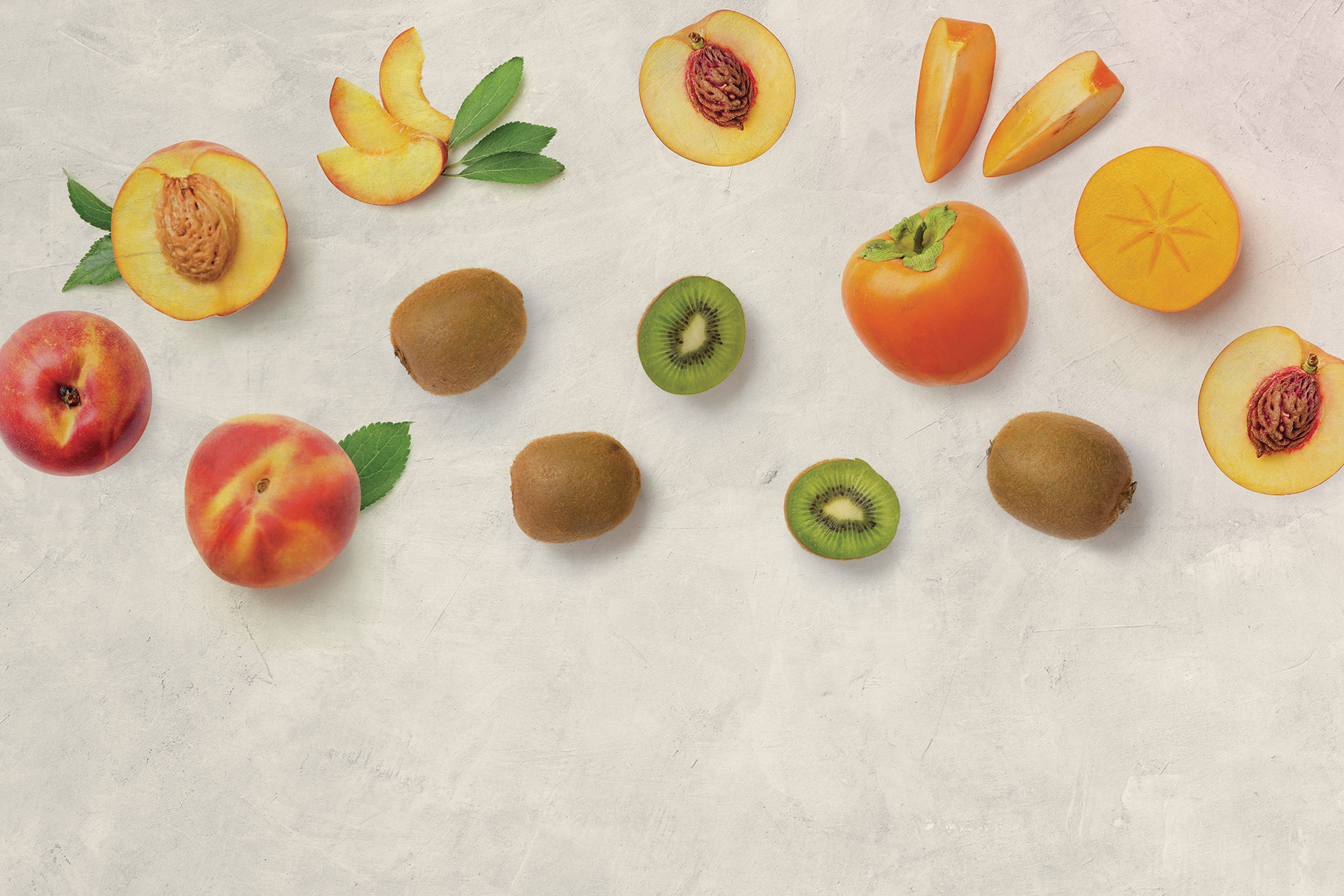 EU FRUIT BASKET BACK 2 copy